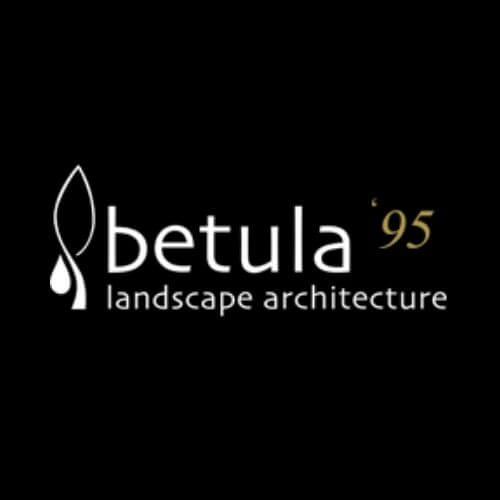 betula logo
