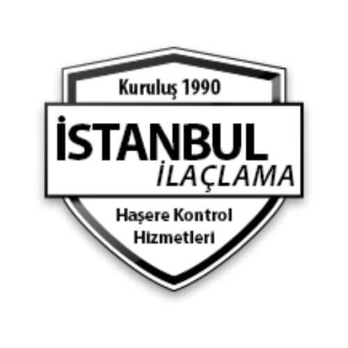 istanbulilaclama logo