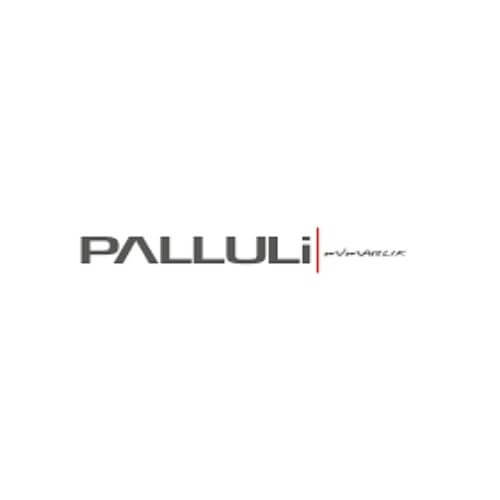 pallulimimarlık logo